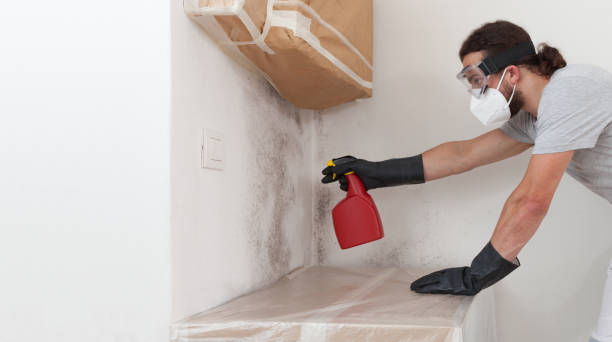 Professional Mold Removal technician working in Haltom City, TX